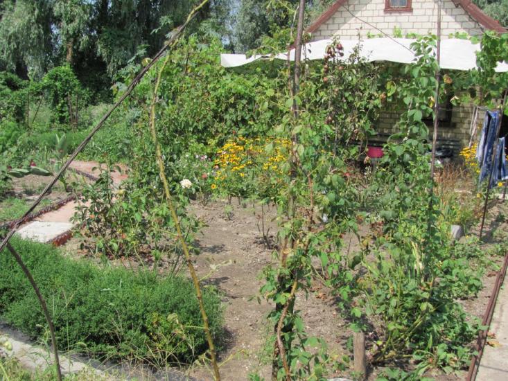Комишани з panoramio.com - Комишани
