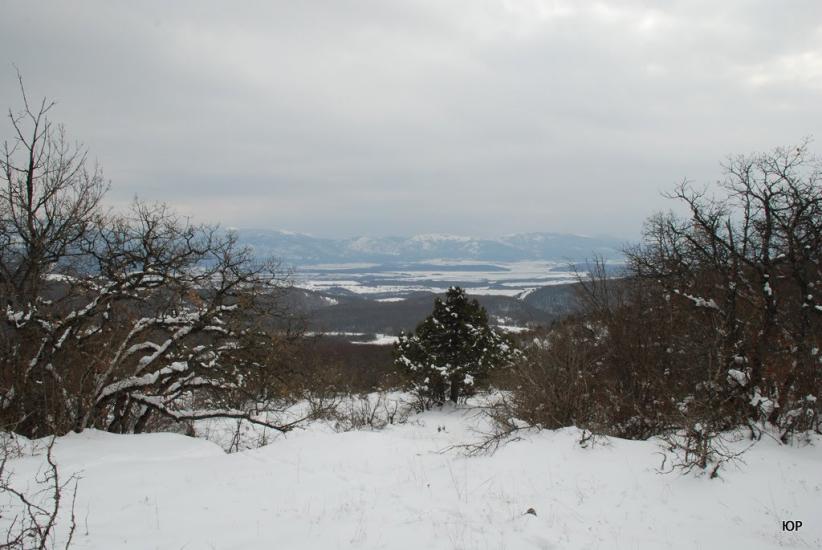 Новобобрівське з panoramio.com - Новобобровское