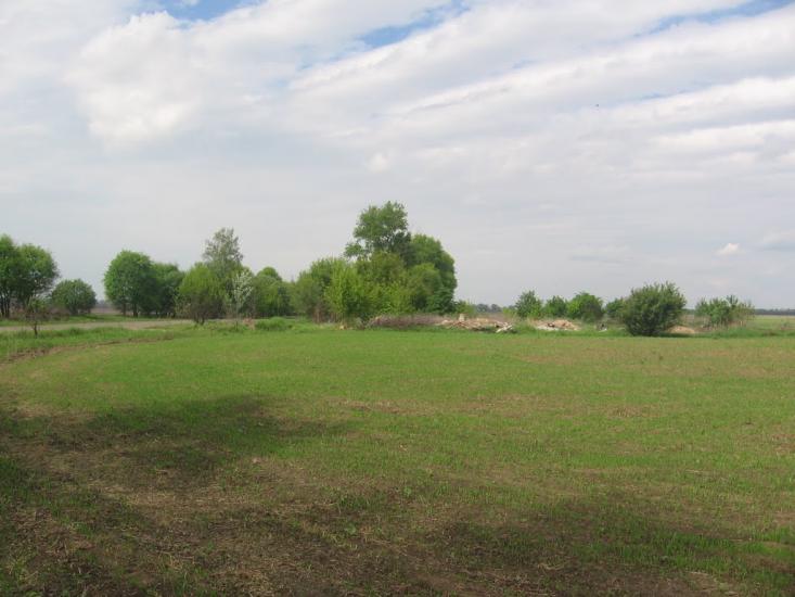 Товстоліс з panoramio.com - Толстолес