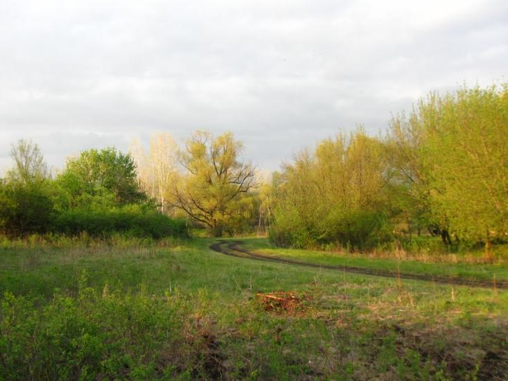 Райгородок з panoramio.com - Raygorodok