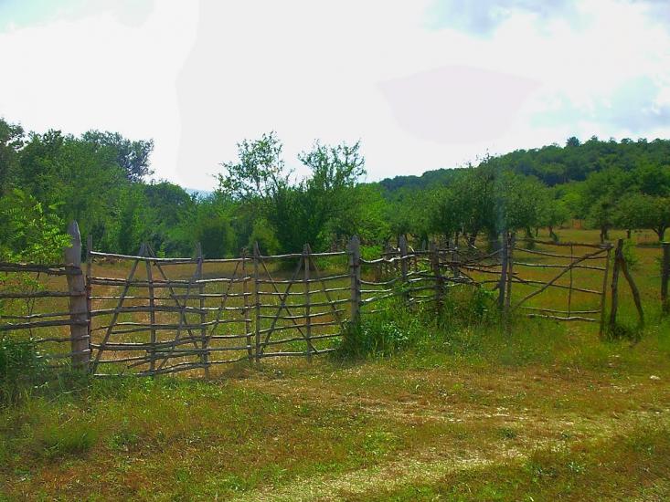 Новопілля з panoramio.com - Новополье