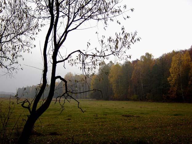 Нові Яриловичі з panoramio.com - Новые Ярыловичи