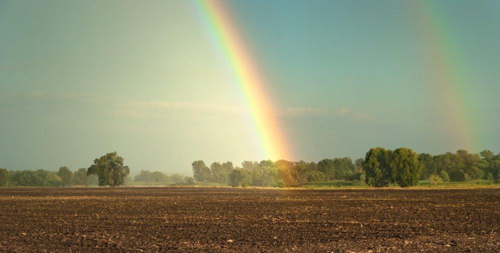 Кривуші з panoramio.com - Kryvushi