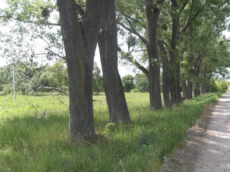 Гвоздів з panoramio.com - Гвоздов
