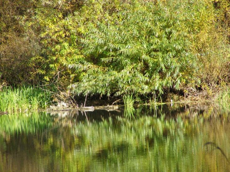Віньківці з panoramio.com - Віньківці