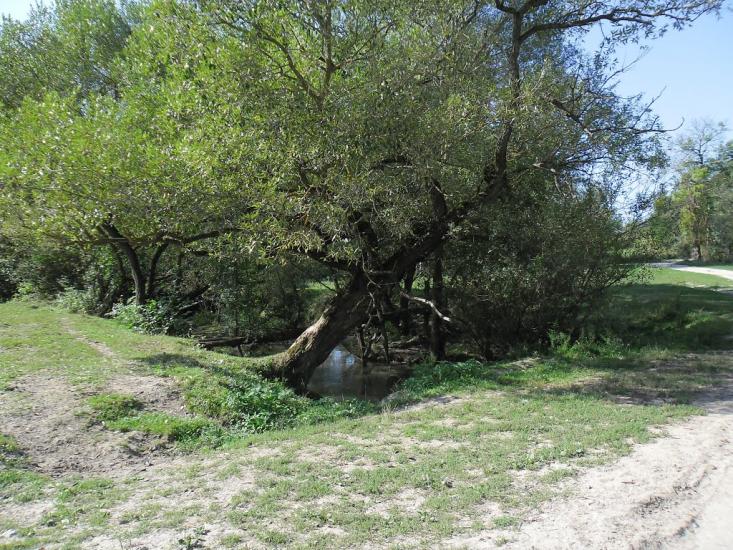 Заміхів з panoramio.com - Заміхів