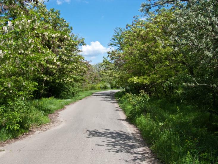 Григорівка з panoramio.com - Григоровка