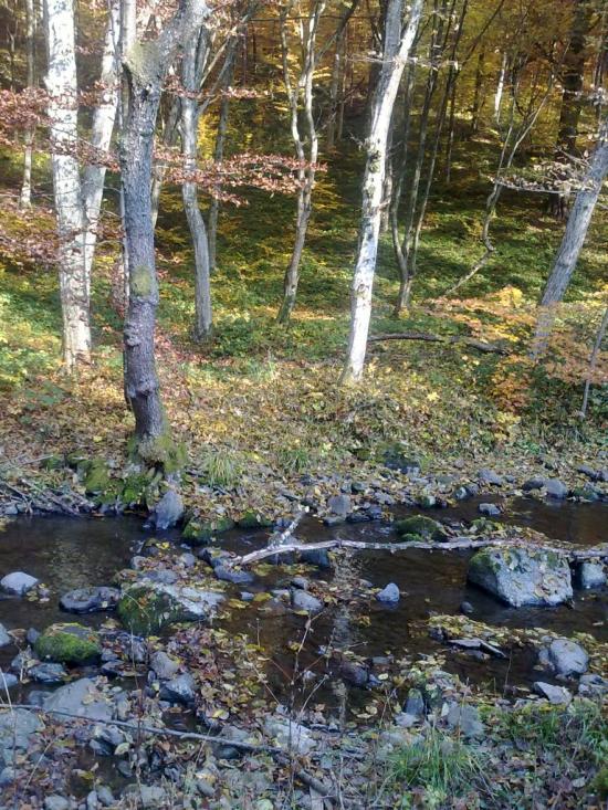 Ворочово з panoramio.com - Ворочево