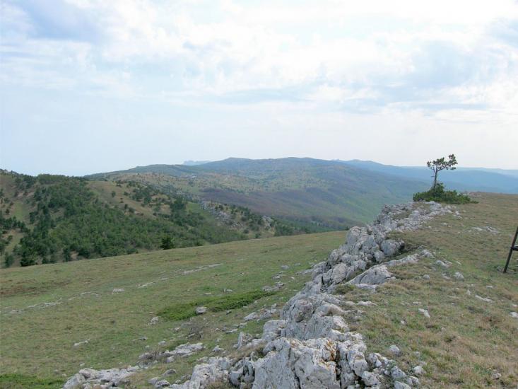 Відрадне з panoramio.com - Отрадное