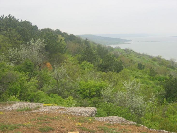 Алтестове з panoramio.com - Алтестове