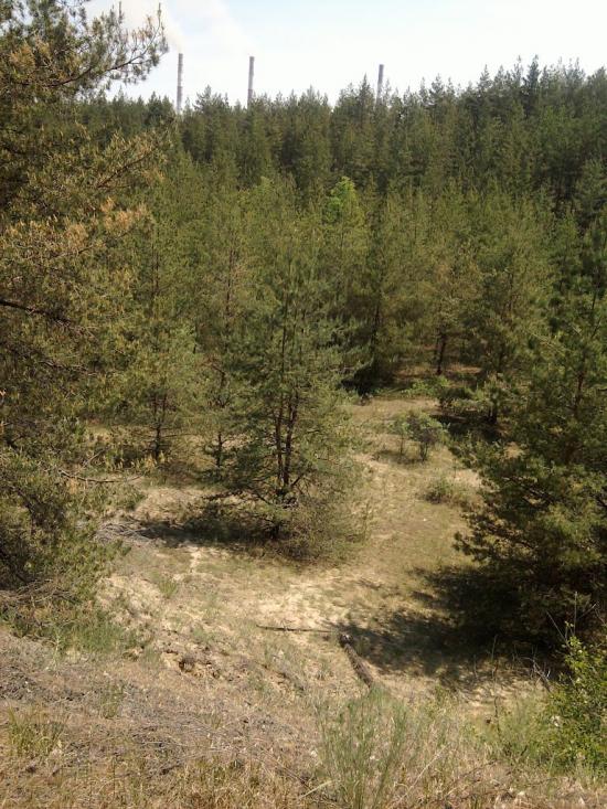 Щастя з panoramio.com - Счастье