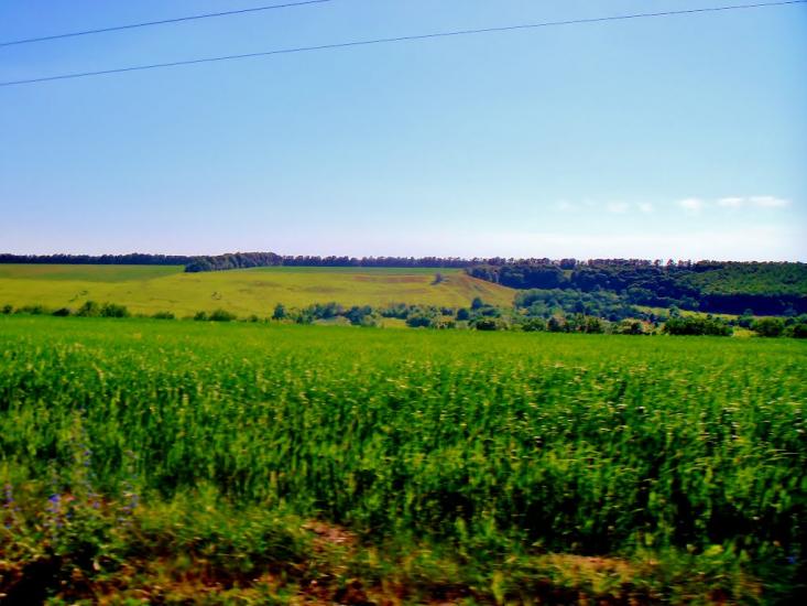 Багачівка з panoramio.com - Багачівка