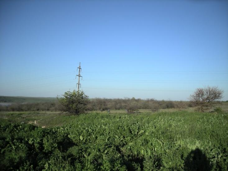 Нова Ковалівка з panoramio.com - Новая Ковалевка