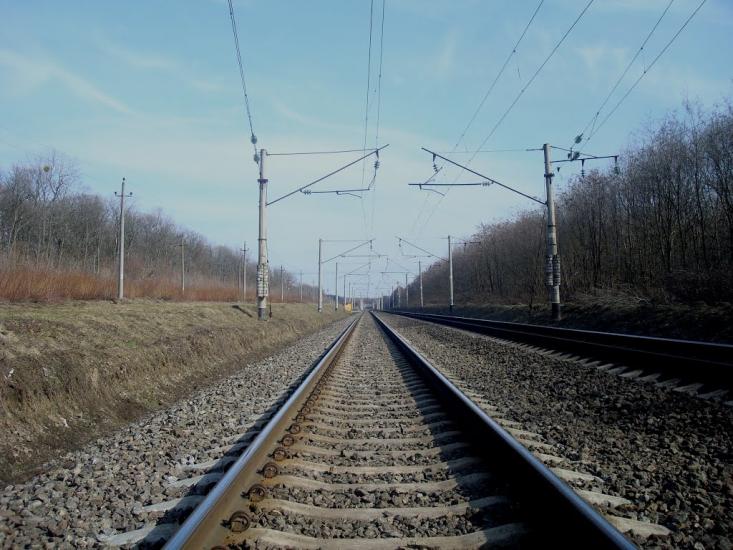 Радівці з panoramio.com - Radivtsi