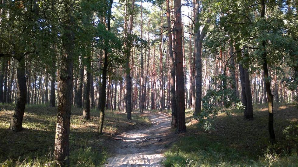 Розкопанці з panoramio.com - Розкопанці