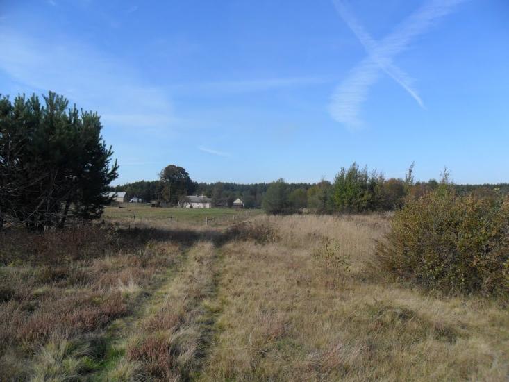 Арламівська Воля з panoramio.com - Арламівська Воля