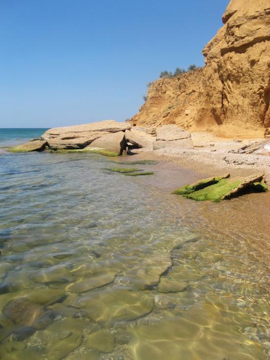 Осипенко з panoramio.com - Осипенко