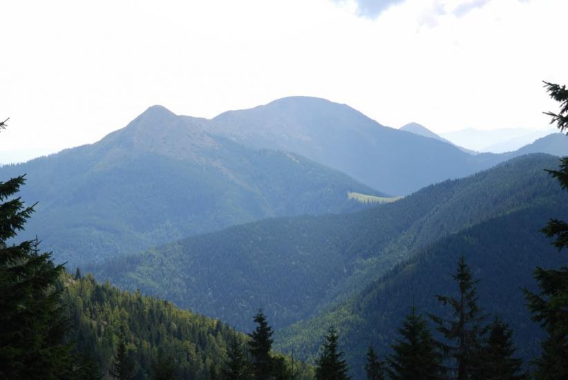 Черник з panoramio.com - Черник
