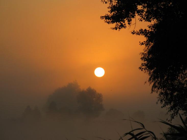 Ставки з panoramio.com - Stavky