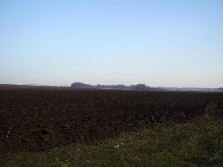 Олександропілля з panoramio.com - Олександропілля