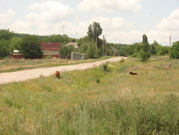 Володимирівка з panoramio.com - Володимирівка