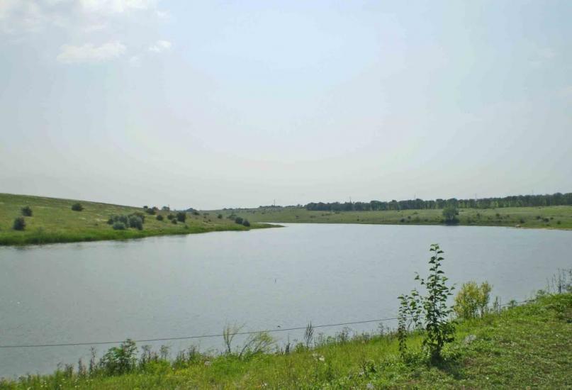 Стародобровільське з panoramio.com - Стародобровольское