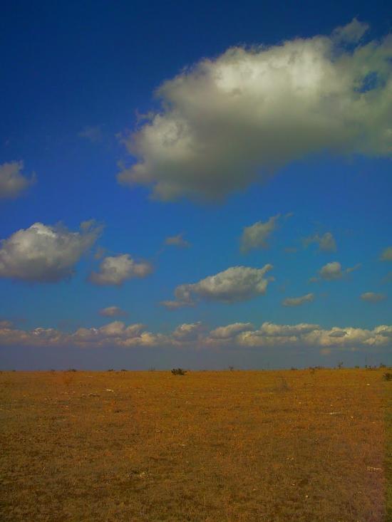 Рєпіне з panoramio.com - Рєпіне