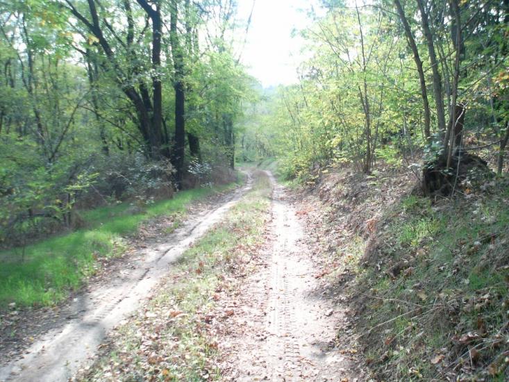 Галицинове з panoramio.com - Галициново