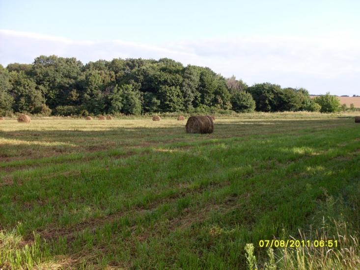 Лікарівка з panoramio.com - Likarivka