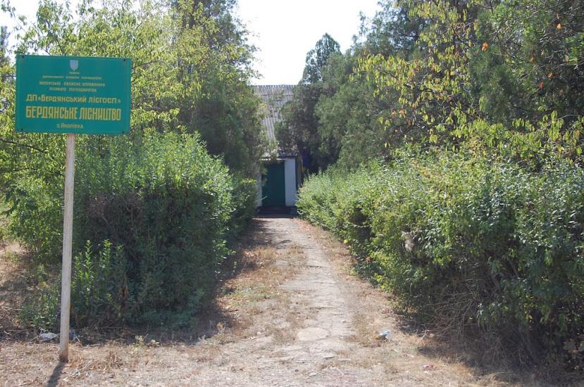 Андрівка з panoramio.com - Андровка