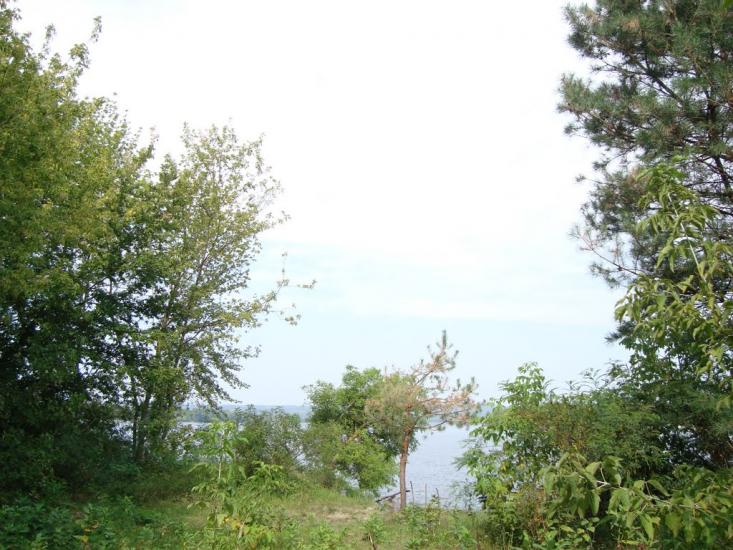 Прохорівка з panoramio.com - Прохорівка