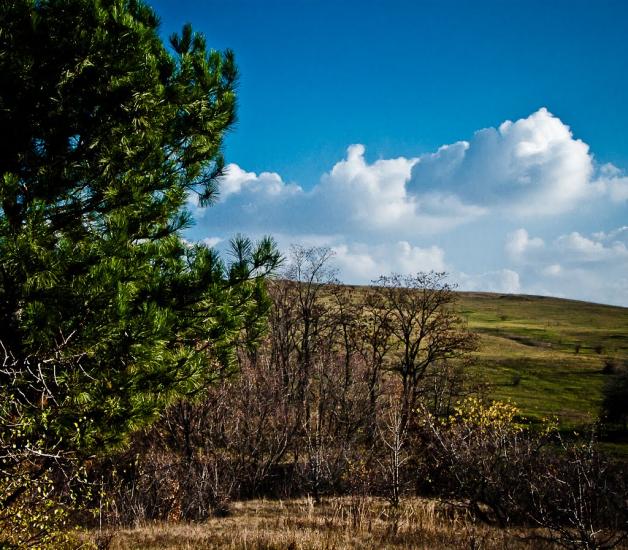 Алмазна з panoramio.com - Алмазная