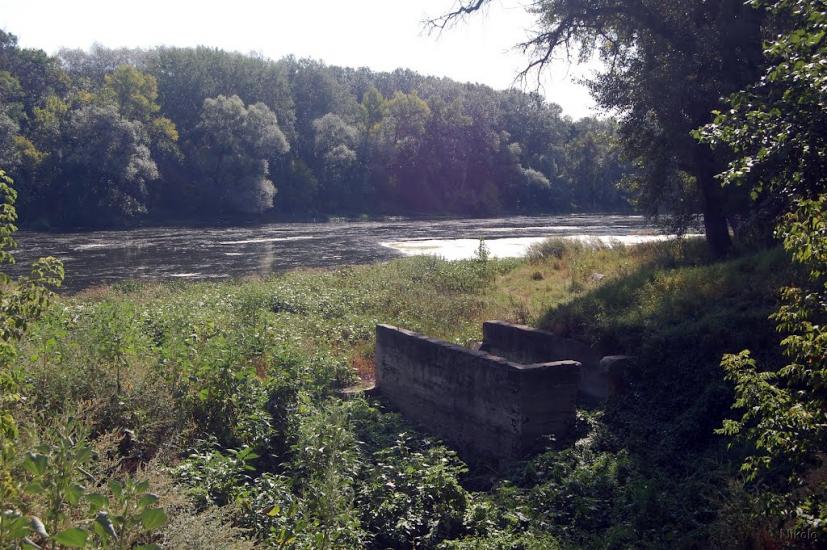 Біла Гора з panoramio.com - Bila Gora