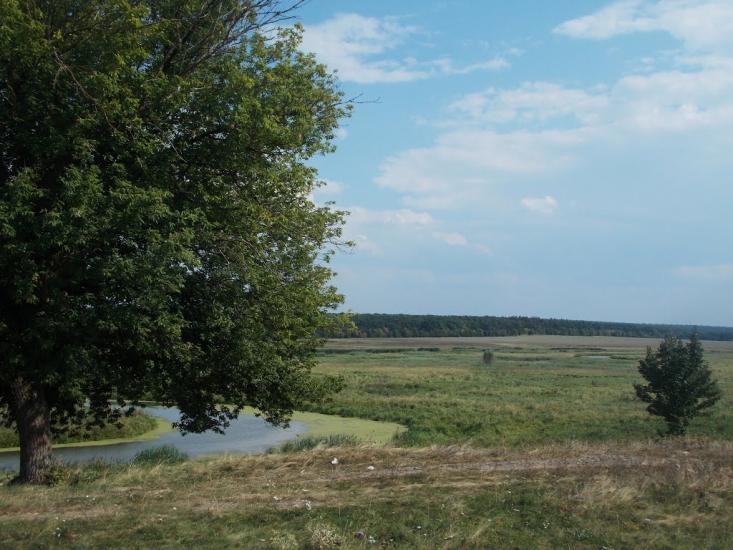 Куна з panoramio.com - Куна