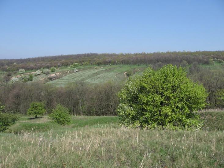 Горького з panoramio.com - Горького