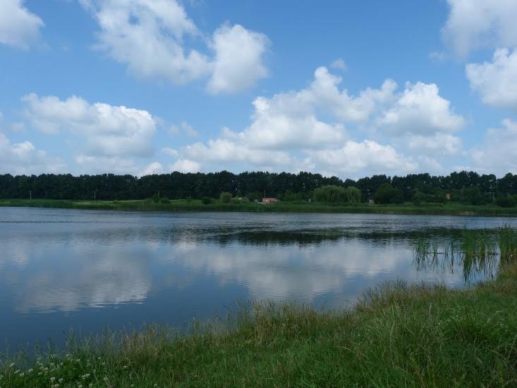Зарванці з panoramio.com - Зарванцы