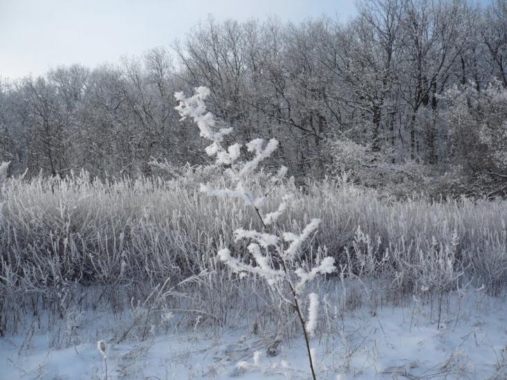 Великий Бурлук з panoramio.com - Великий Бурлук