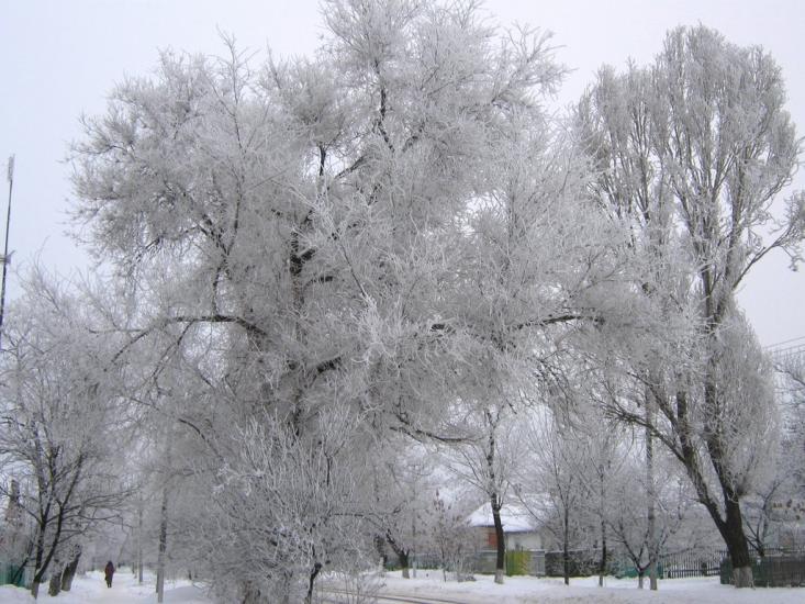 Оріхів з panoramio.com - Orikhiv