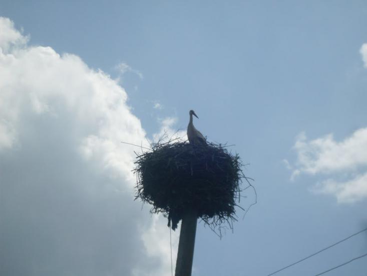 Крутогорб з panoramio.com - Крутогорб