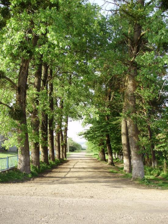 Пісочна з panoramio.com - Песочная