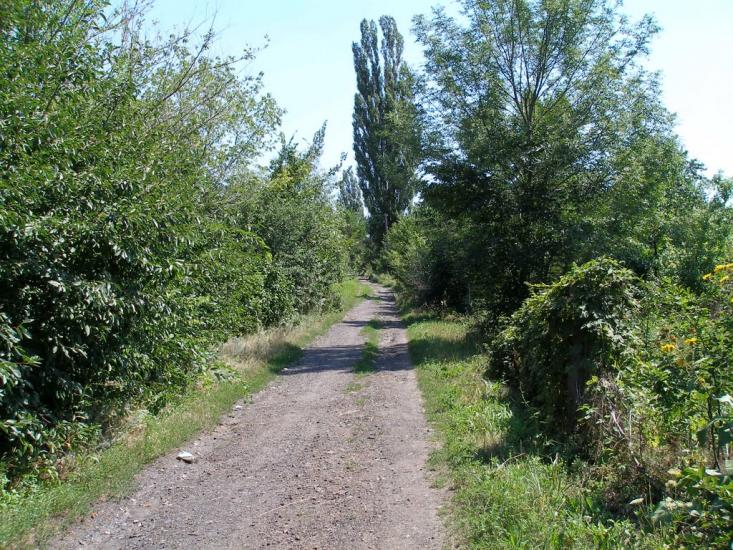 Сєверне з panoramio.com - Северное