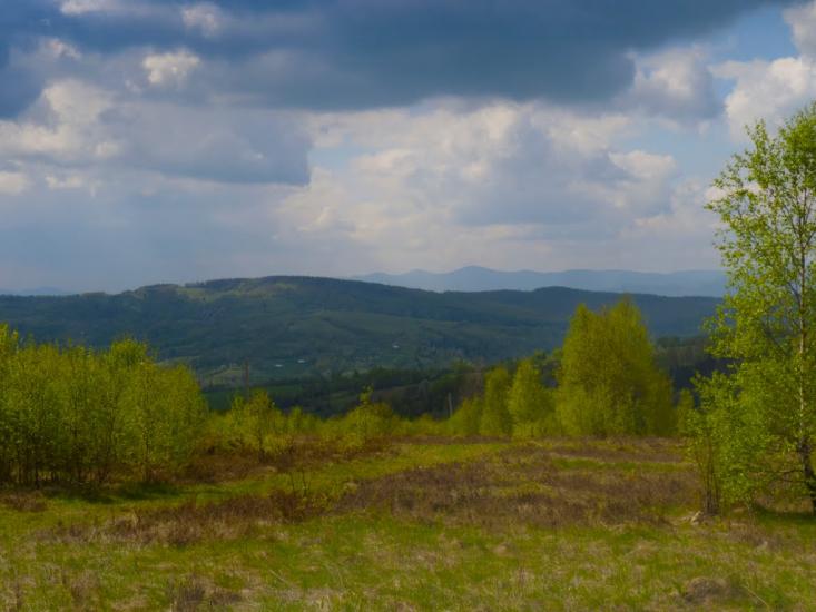 Орів з panoramio.com - Оров