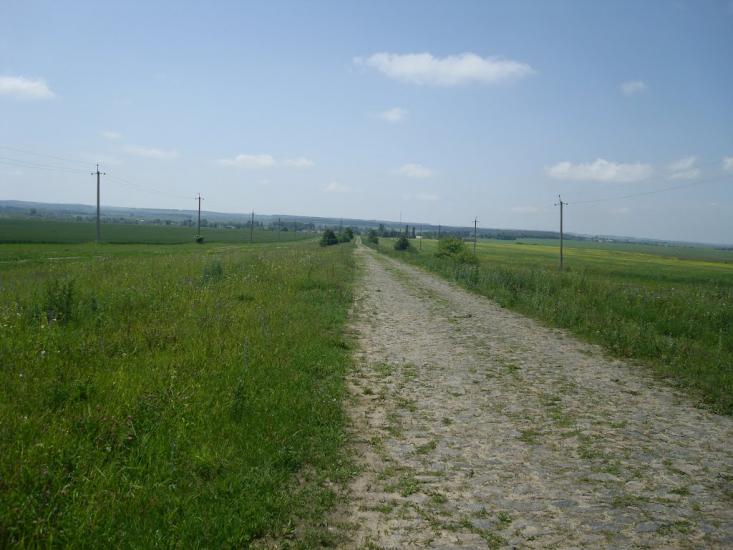 Черепова з panoramio.com - Черепова