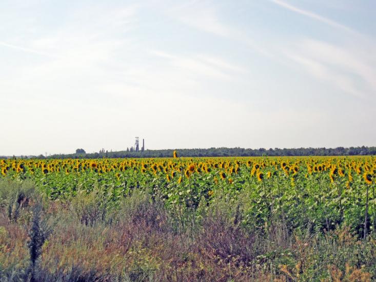 Збірне з panoramio.com - Сборное