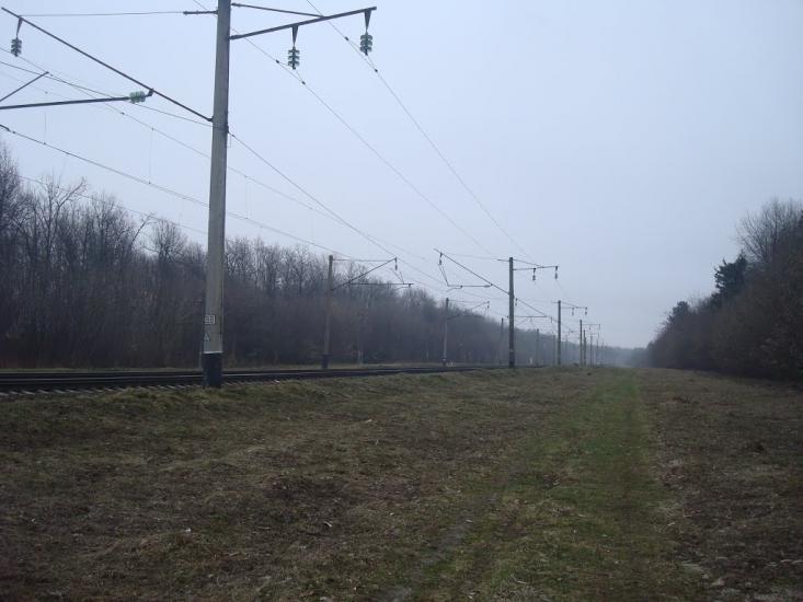 Васютинці з panoramio.com - Васютинцы