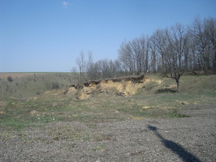 Чапаєвка з panoramio.com - Малые Коростовцы