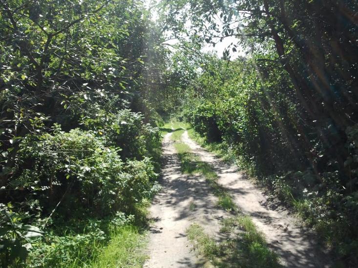 Торф'яне з panoramio.com - Торф'яне