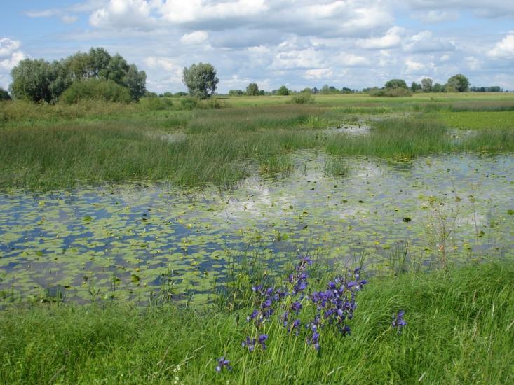 Хотянівка з panoramio.com - Хотяновка