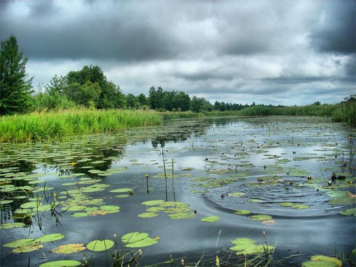 Нова Ушиця з panoramio.com - Новая Ушица