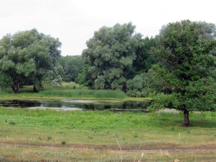 Нижнє з panoramio.com - Nyzhnye